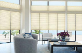 DUETTE Honeycomb Shades